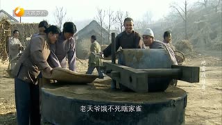 陕西卫视