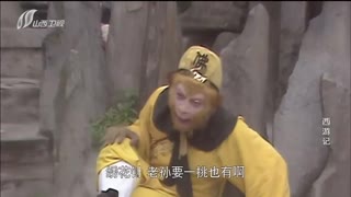 山西卫视